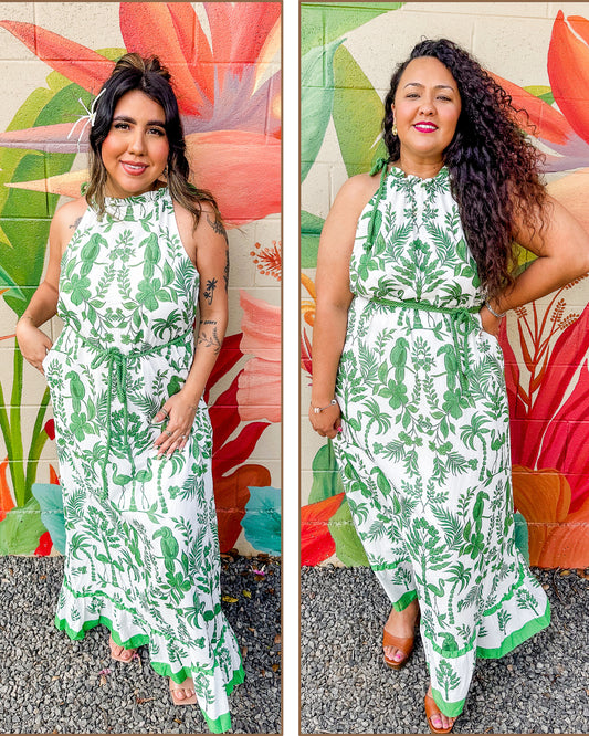 Zinnia Dress (3X)
