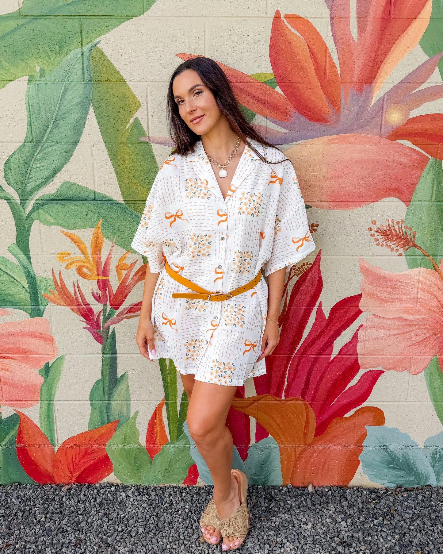 Vance Shirt Dress - Ivory Combo