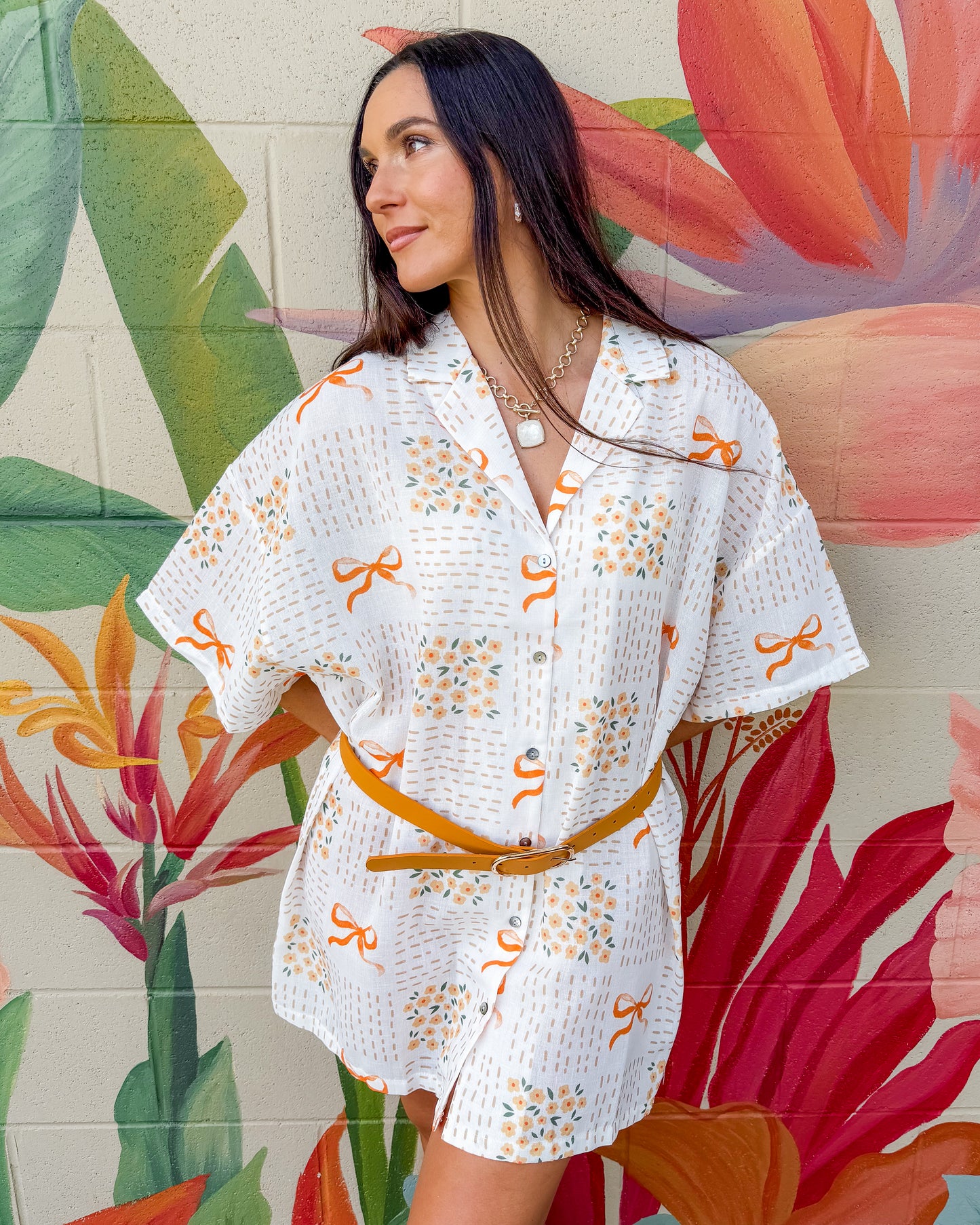 Vance Shirt Dress - Ivory Combo